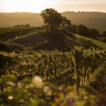 Fattoria La Capitana مزرعة للإقامة ماليانو إن توسكانا
