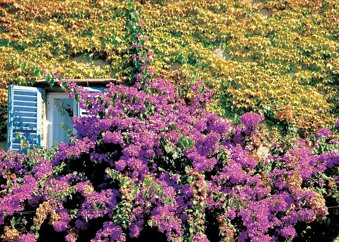 Bauernhof Fattoria La Capitana Magliano in Toscana